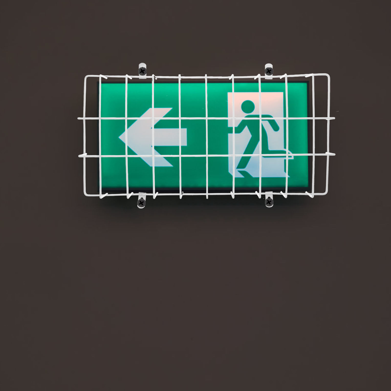 Protector de Cable para Luz de - Emergency Exit Sign reseña y precio